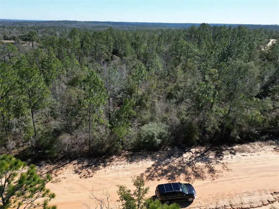 Alene Drive, Alford, FL 32420 - #2