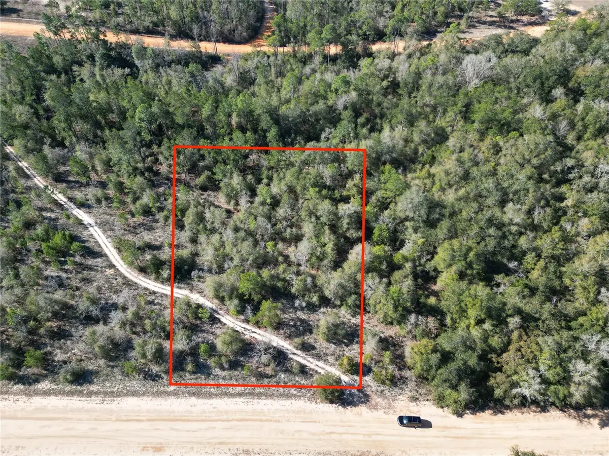 Cardinal Avenue, Marianna, FL 32448 - #1