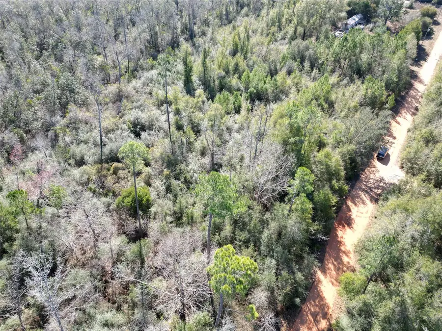 Mckinney Lane, Alford, FL 32420 - #2