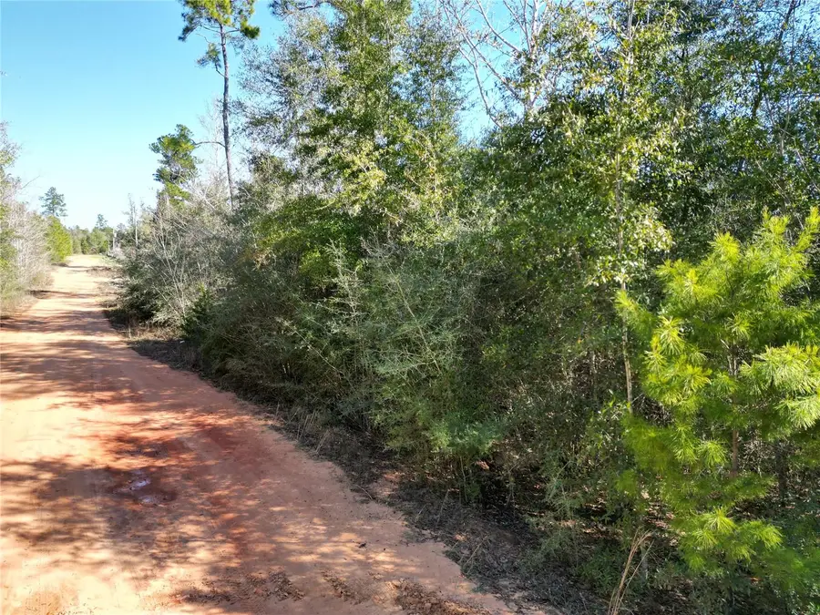 Mckinney Lane, Alford, FL 32420 - #3