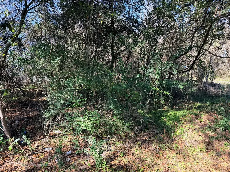 TBD NW 151st Avenue, Alachua, FL 32615 - #2