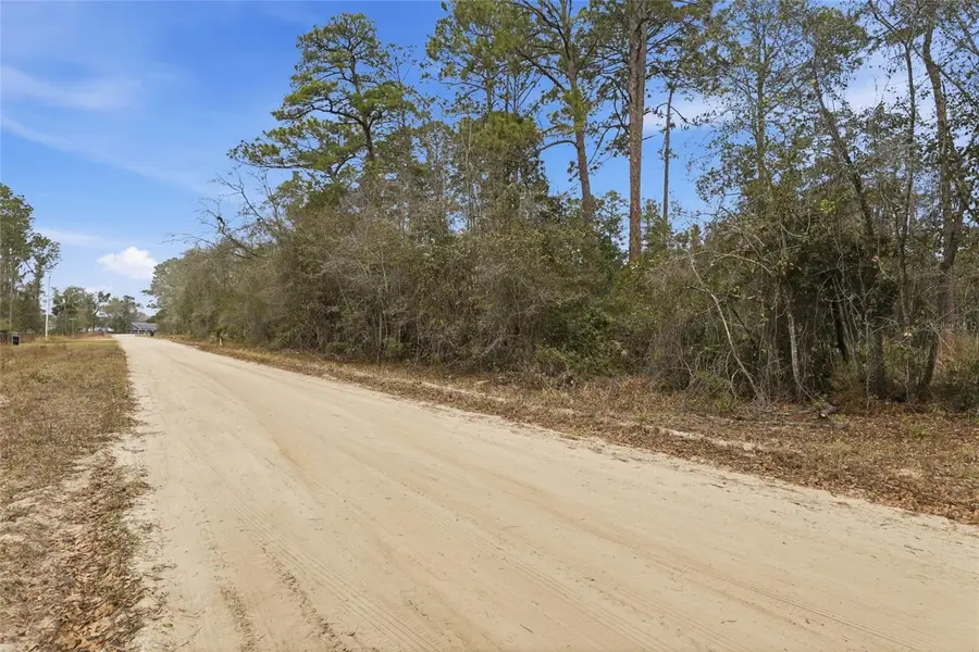 Sharon Street, Interlachen, FL 32148 - #3