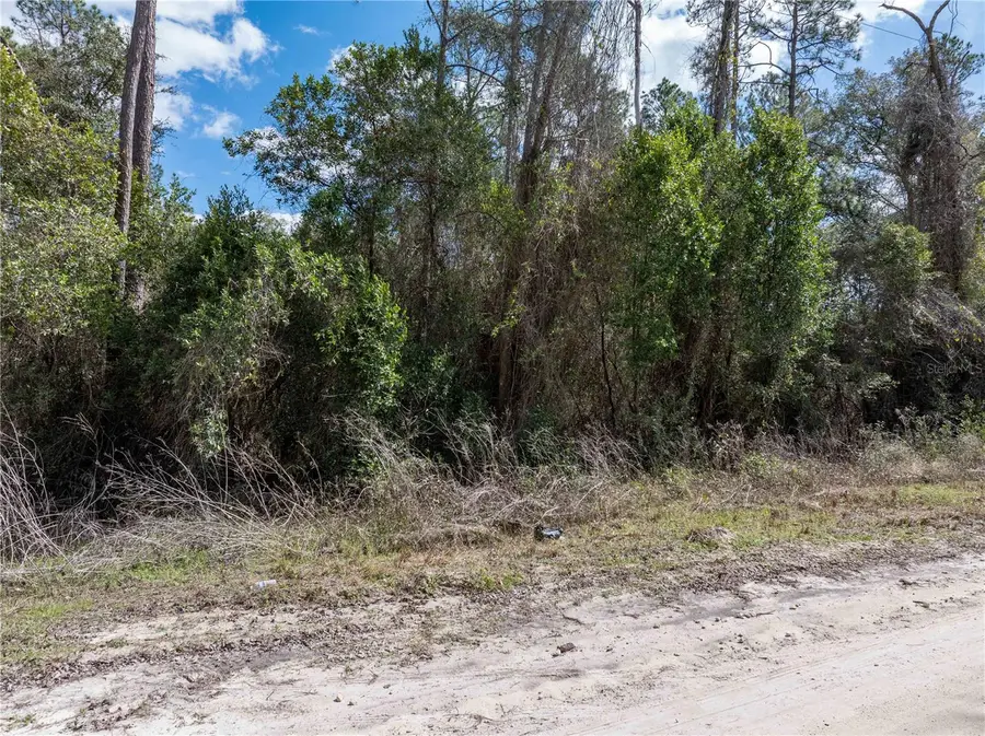 3139 SW Mauldin Avenue, Lake City, FL 32024 - #2