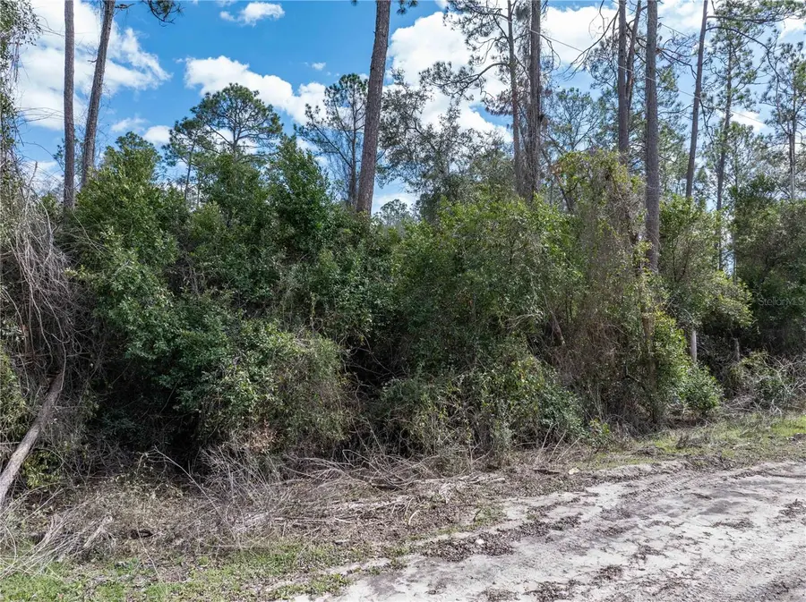 3139 SW Mauldin Avenue, Lake City, FL 32024 - #3