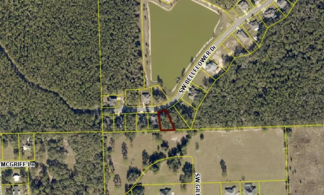 593 SW Bellflower Drive, Lake City, FL 32024 - #1