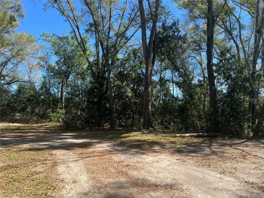 10304 NW 25th Court, Branford, FL 32008 - #3