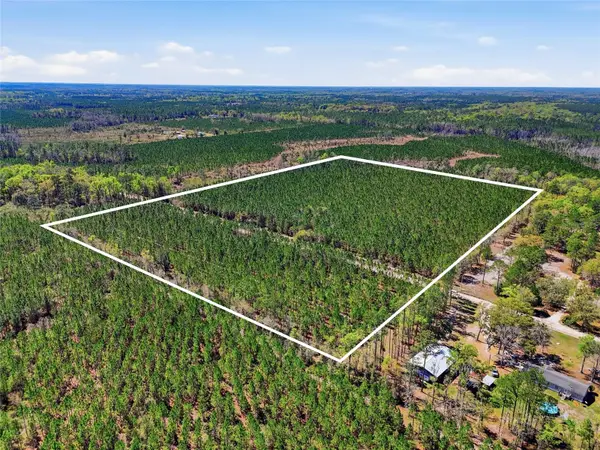 TBD SE Pounds Hammock Road, LAKE CITY, FL 32025