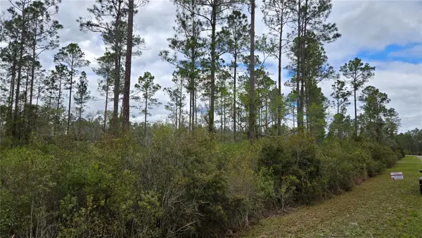 Lot 10 NW Natalie Way, LAKE CITY, FL 32055