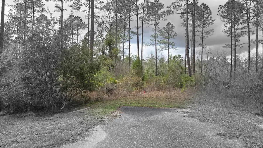 Lot 10 NW Natalie Way, Lake City, FL 32055 - #2