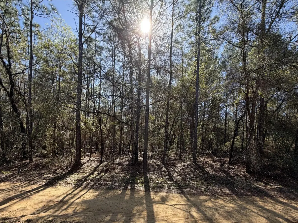 SE 7th Avenue, Interlachen, FL 32148 - #1