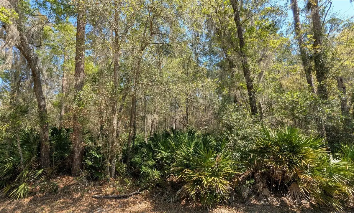 TBD NE County Road 234, Gainesville, FL 32641 - #1