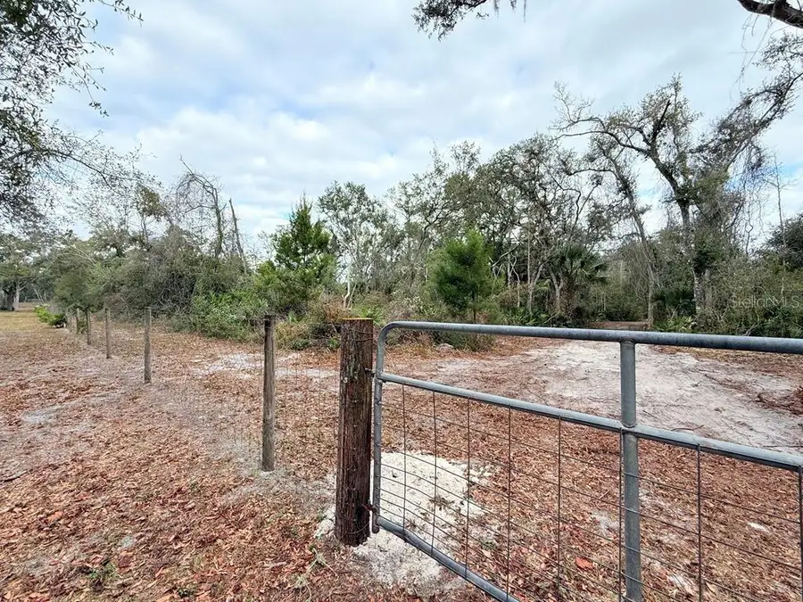 445 NE 544th Street, Old Town, FL 32680 - #3