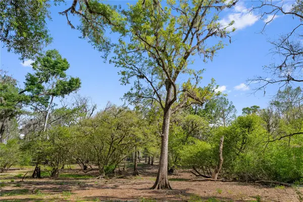 Address Withheld By Seller, CROSS CITY, FL 32628