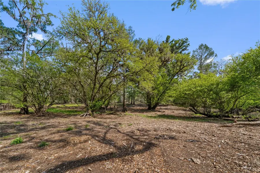 Address Withheld By Seller, Cross City, FL 32628 - #2