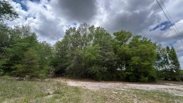 3320 SW 157th Terrace, Archer, FL 32618 - #2