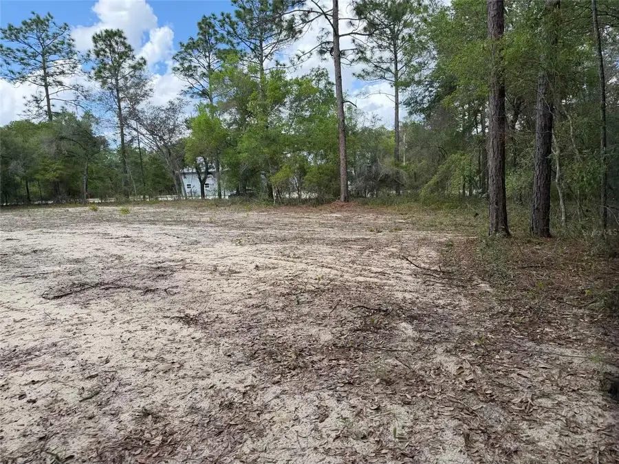 105 Race Street, Hawthorne, FL 32640 - #2