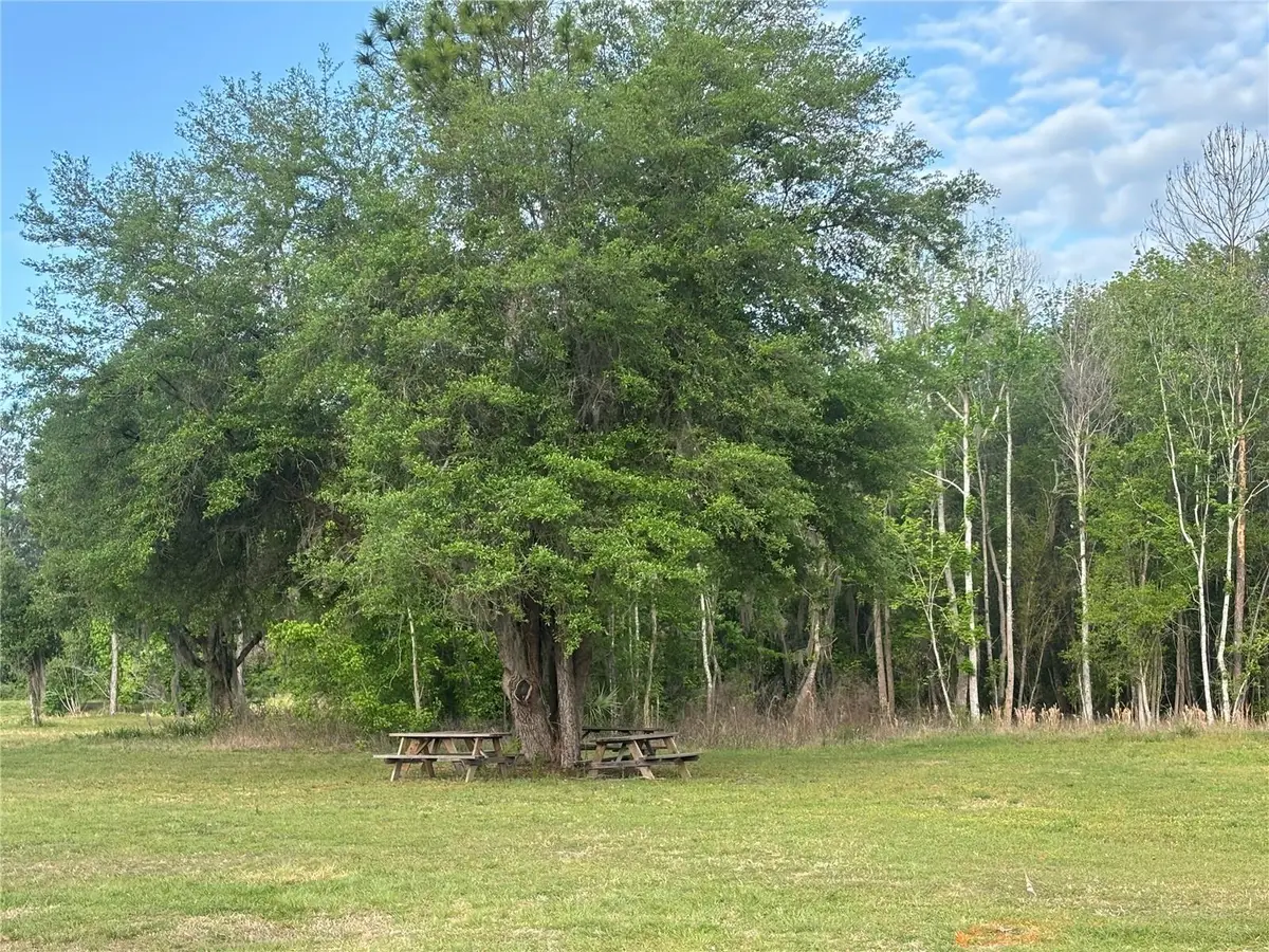 Se Hawthorne Road, Hawthorne, FL 32640 - #1