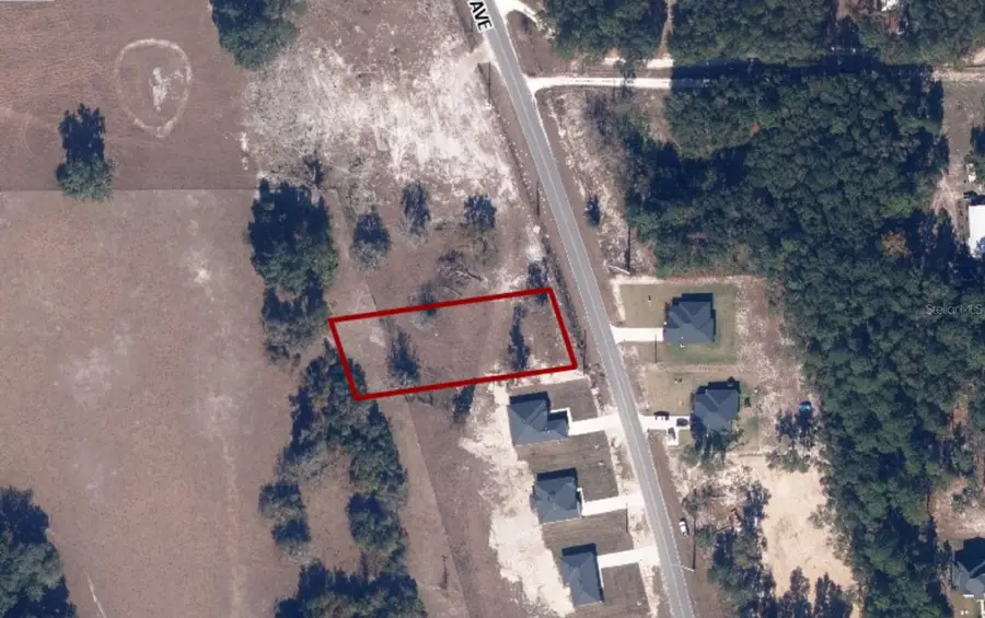 Se 8th Avenue, Melrose, FL 32666 - #2