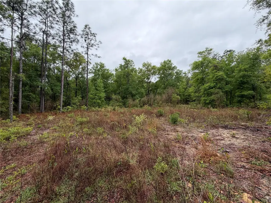 301 Rainbow Drive, Hawthorne, FL 32640 - #3