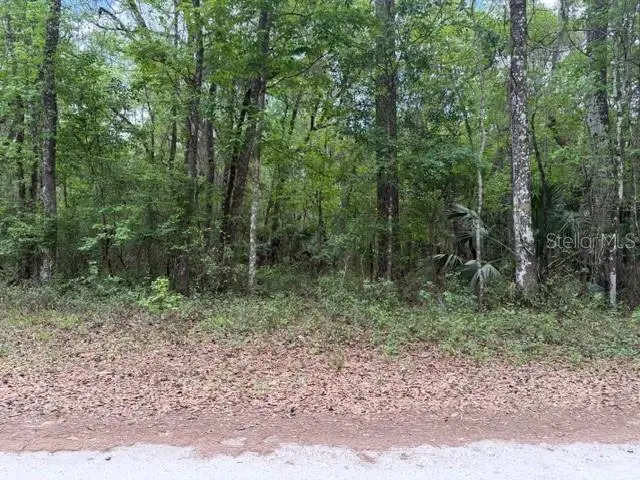 SW 75 Street, Archer, FL 32618 - #3