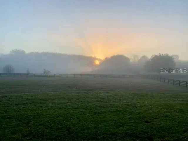 15681 NW 48th Place, Alachua, FL 32615 - #2