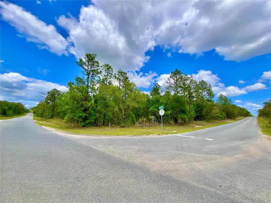 Mariners Lake Drive, Interlachen, FL 32148 - #2