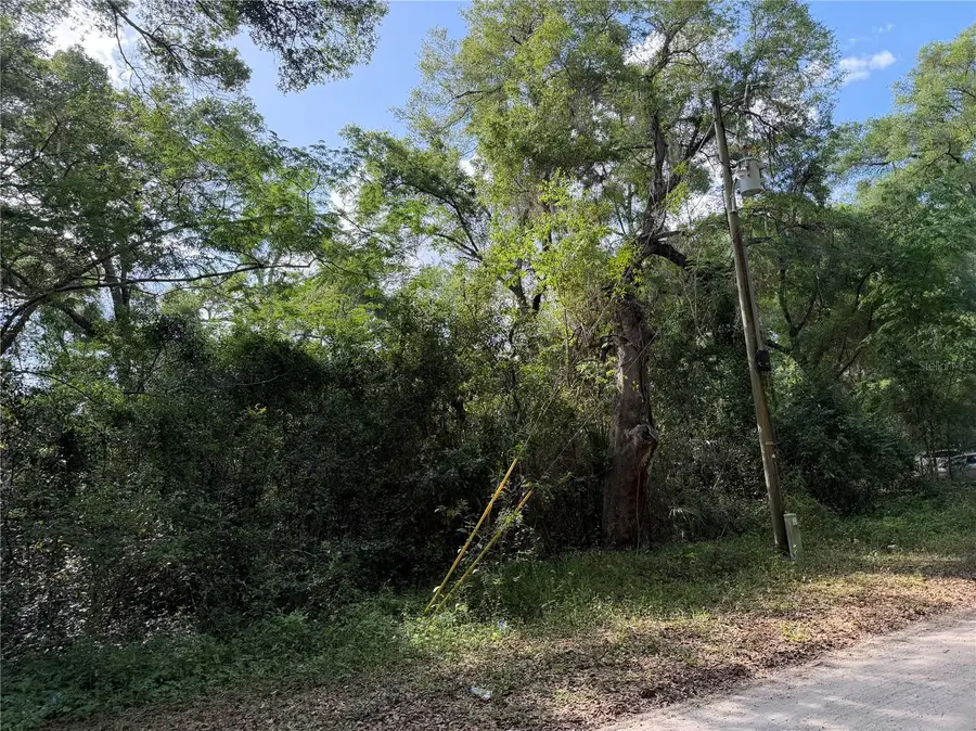 1410 NW 10th Street, Chiefland, FL 32626 - #3