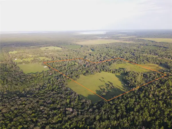 11816 SE County Road 234, MICANOPY, FL 32667