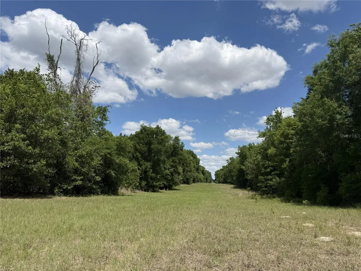 0 NW 140th Street, Chiefland, FL 32626 - #1