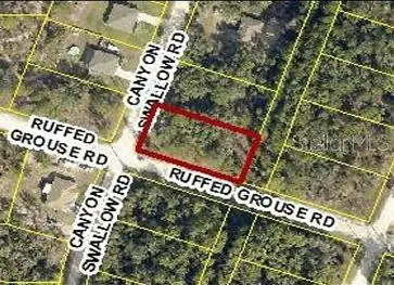 0 Canyon Swallow Rd (parcel Key 00784734), WEEKI WACHEE, FL 34614