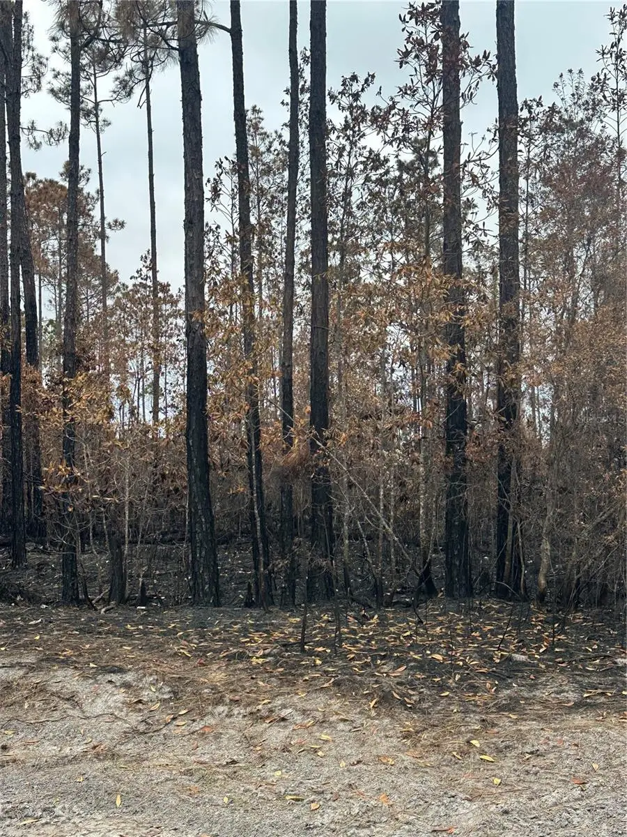 TBD NW 2nd Avenue, Palatka, FL 32177 - #3