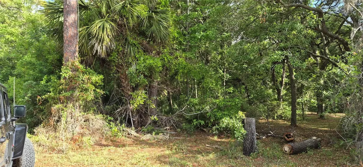 9351 NW 120th Street, Chiefland, FL 32626 - #1