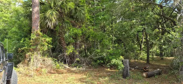 9351 NW 120th Street, CHIEFLAND, FL 32626