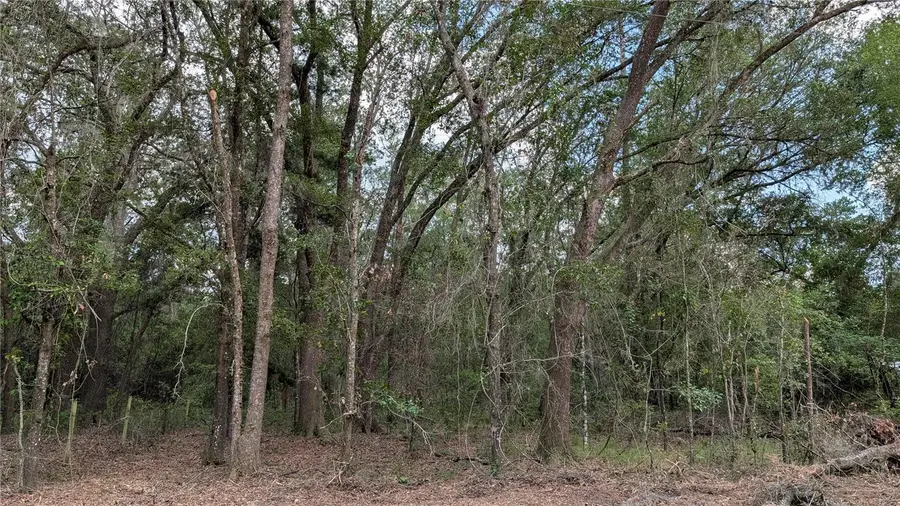 TBD NE 108th Place, Waldo, FL 32694 - #2