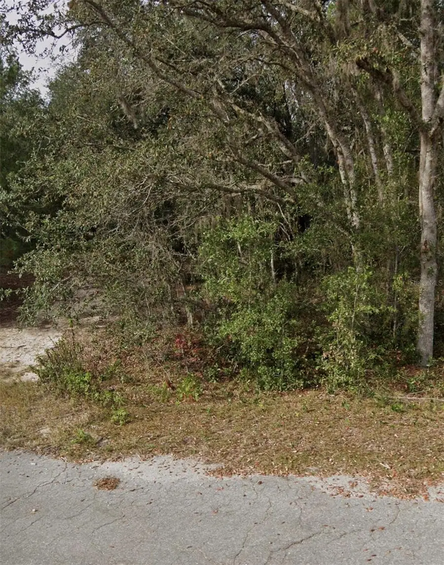 Tbd Fisher Way Crse, Ocklawaha, FL 32179 - #3