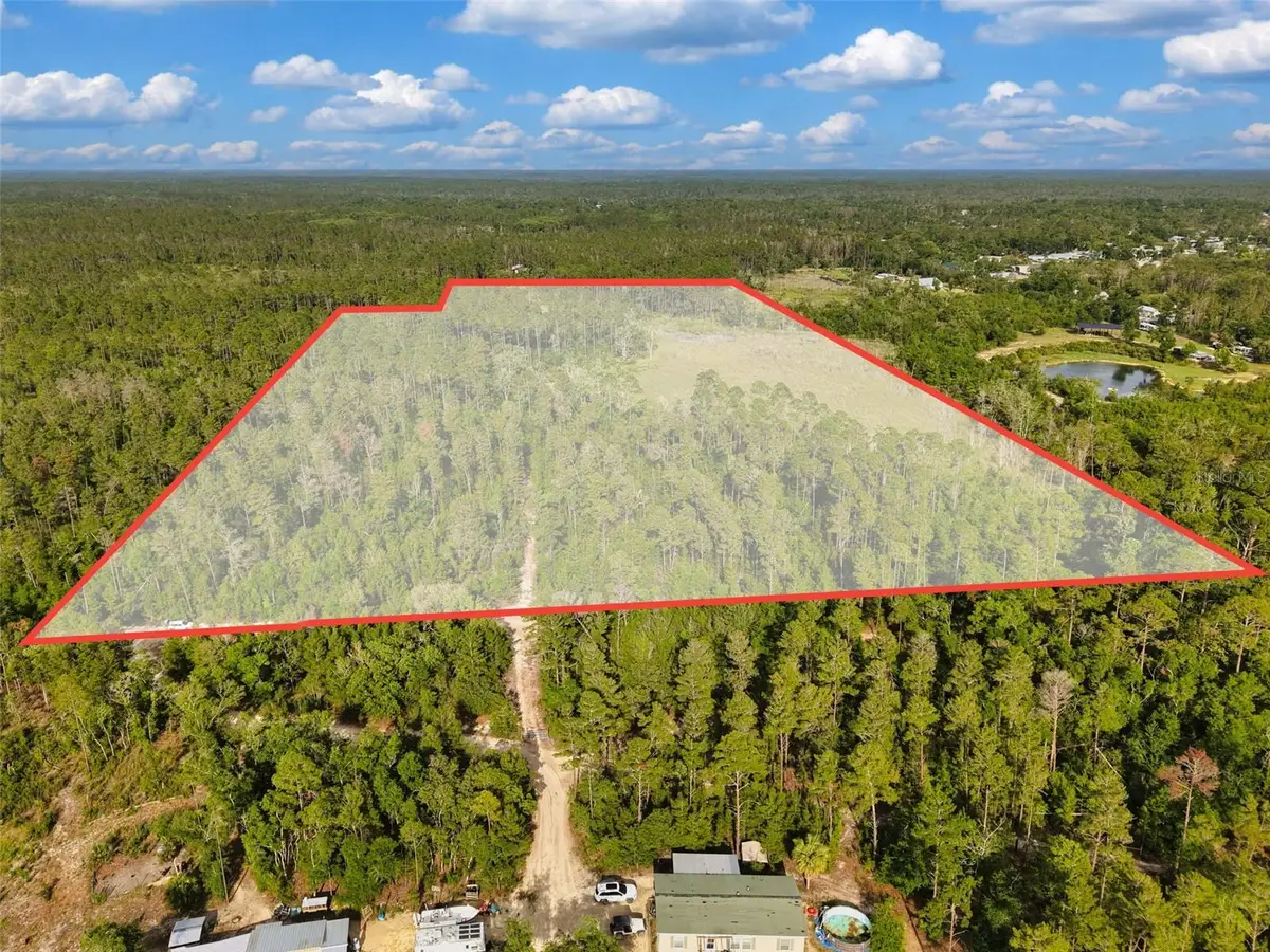 Savanna Lane, Steinhatchee, FL 32359 - #1