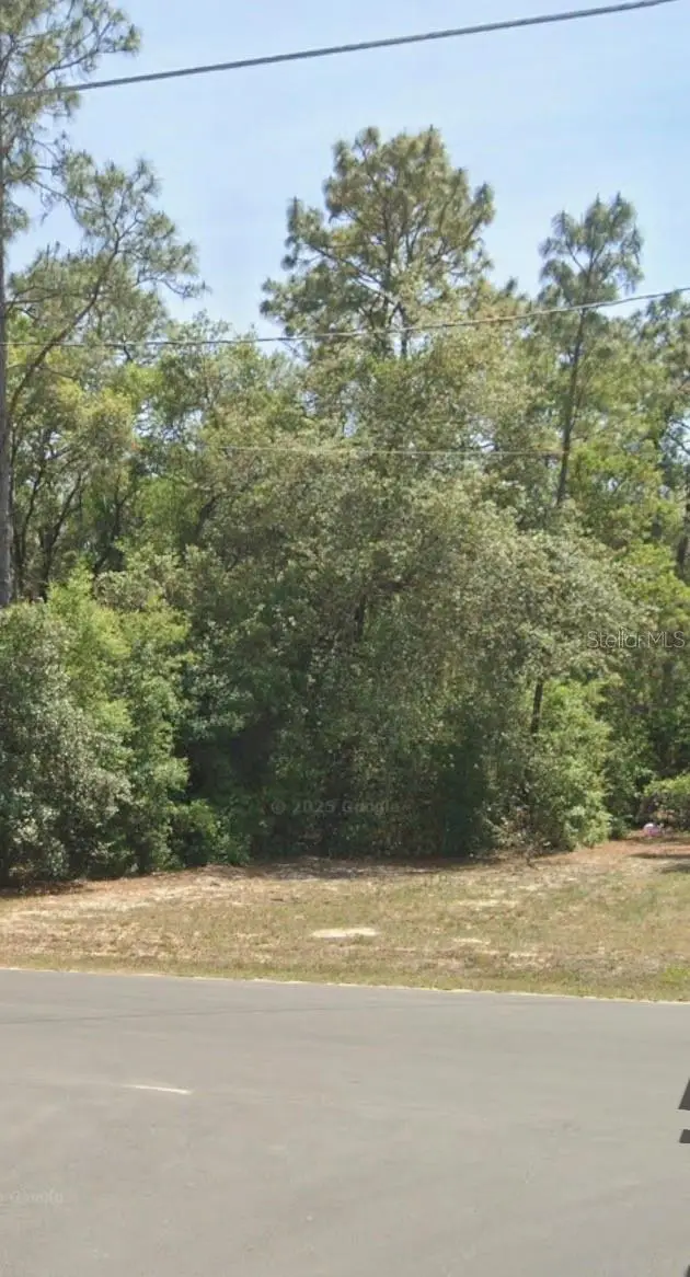 Tbd Locust Trak, 34472, Ocala, FL 34472 - #1
