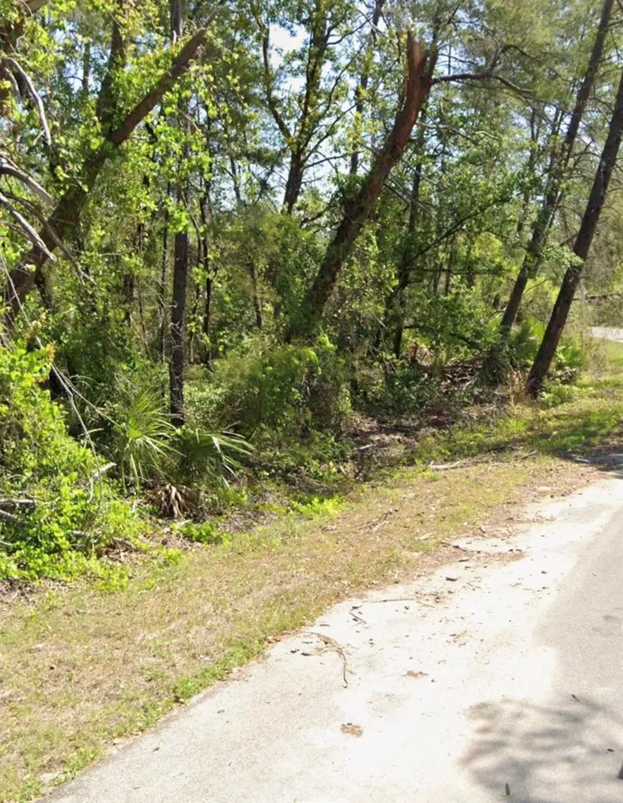 TBD Fisher Court, Ocklawaha, FL 32179 - #2
