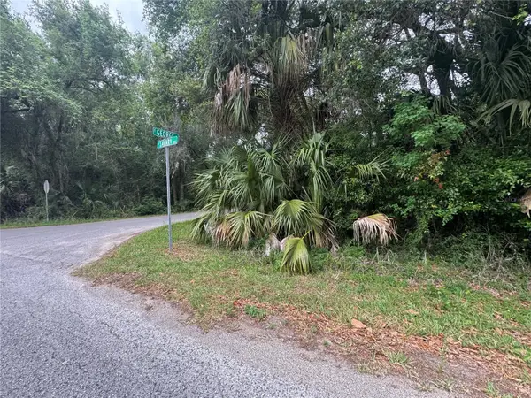 874 N Savary Avenue, INVERNESS, FL 34453
