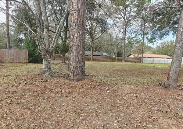 NW 29th Terrace, GAINESVILLE, FL 32653