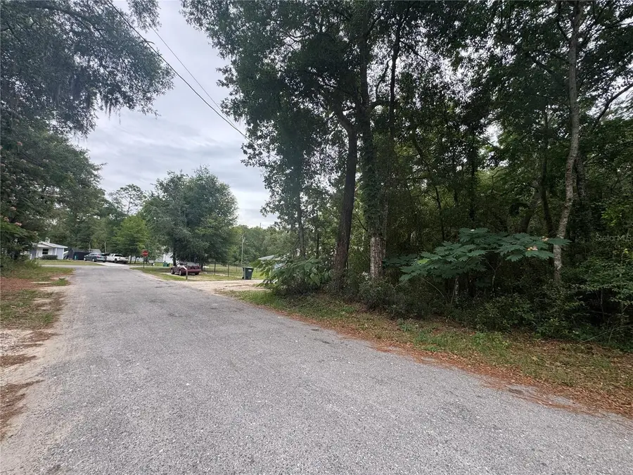 3462 E Michael Street, Inverness, FL 34453 - #2