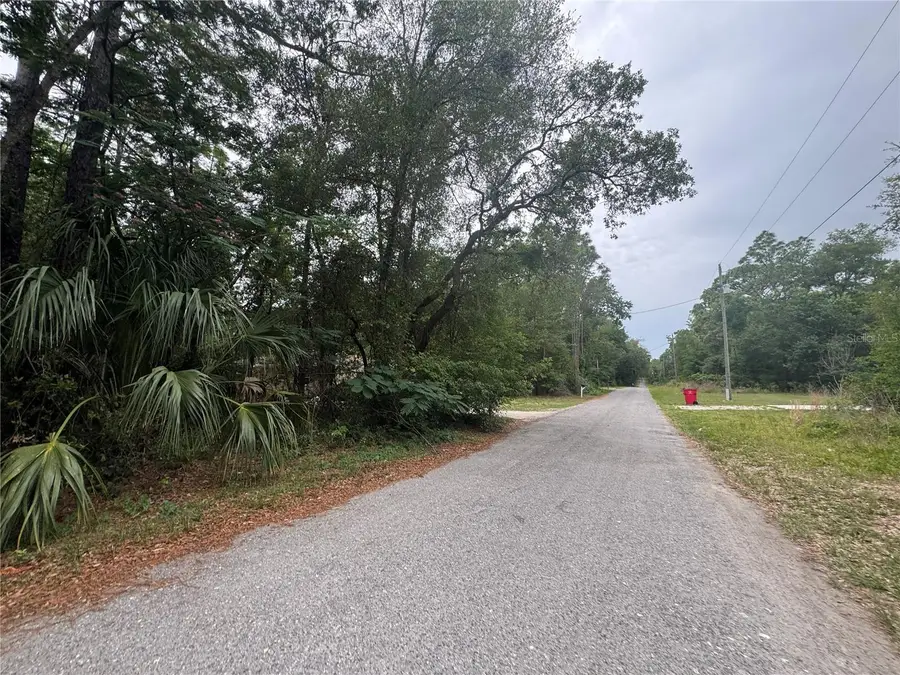 3462 E Michael Street, Inverness, FL 34453 - #3