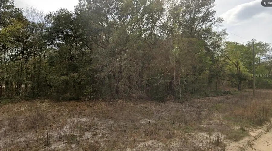 000 Jernigan Street, Interlachen, FL 32148 - #2