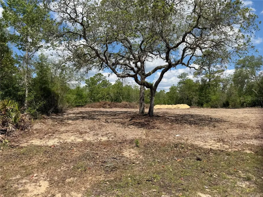 TBD NE 105th Avenue, Bronson, FL 32621 - #2