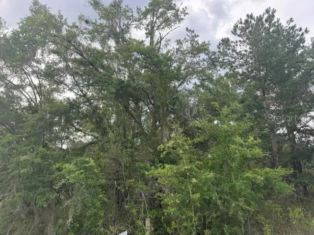 21902 NE 69th Place, Melrose, FL 32666 - #3