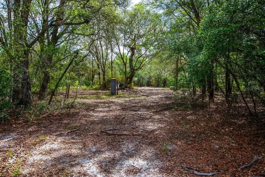 5350 SE 3rd Lane, Trenton, FL 32693 - #2
