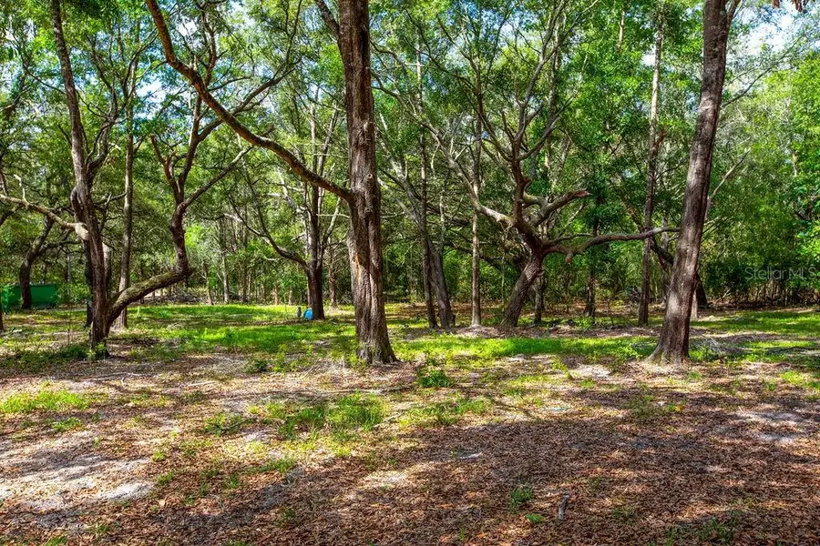 5350 SE 3rd Lane, Trenton, FL 32693 - #3