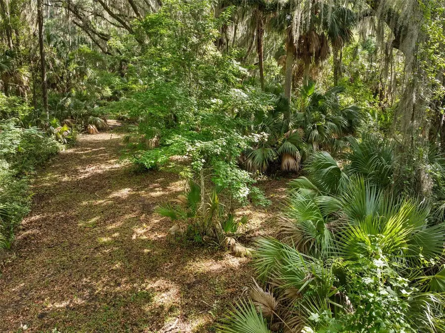 TBD Se Wacahoota Road, Micanopy, FL 32667 - #2