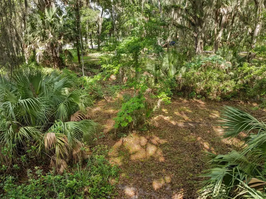 TBD Se Wacahoota Road, Micanopy, FL 32667 - #3