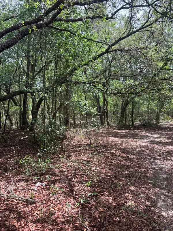 83rd Lane, BRONSON, FL 32621